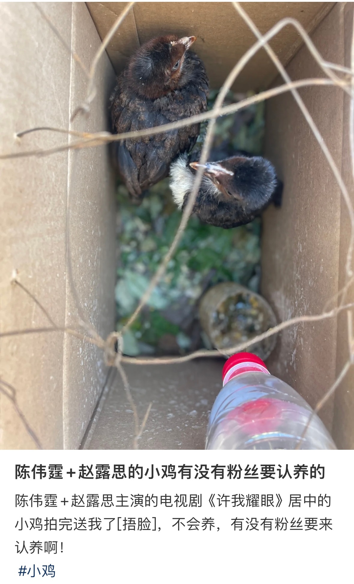 你养 ​​​