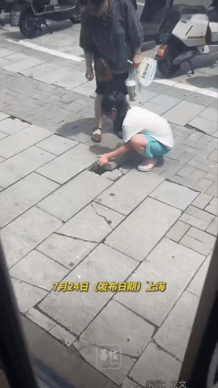 瞬间被治愈！女生坐车上班路上，远远看去，小姑娘蹲在路边，一直在抠地上的砖块。女生