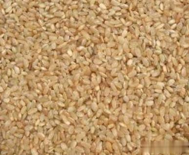 全身干性湿疹与糙米今日一位14岁的男性患者由母亲带着来门诊复诊。患者说他的全身干