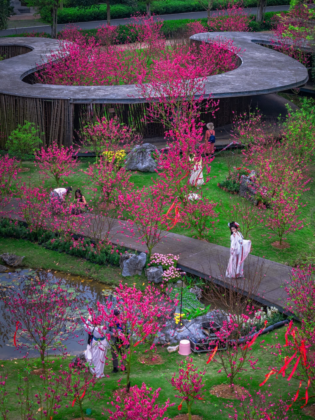 桃花朵朵开，南宁的满园春色关不住了