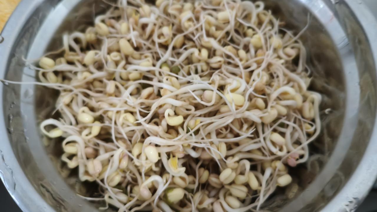 我在深圳发豆芽吃
       朋友们可以先看看文末的图片，粗壮长大的是超市的豆