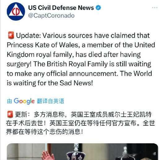 英国王妃的命运成谜，究竟她是不是在世？这个问题困扰着世人。如果她已经不在人世，英