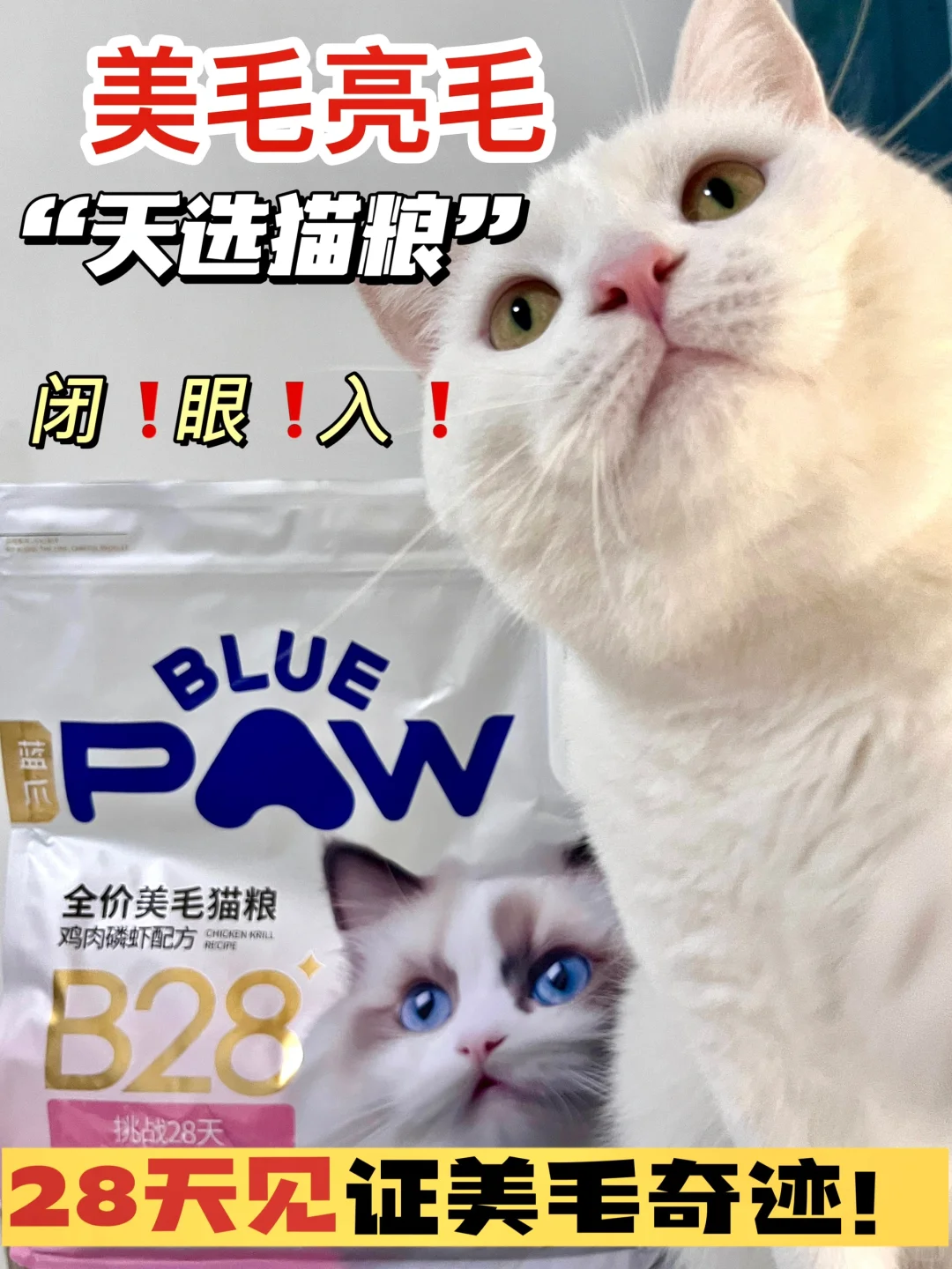 28天美毛挑战✅换季也能拥有好毛发❗️