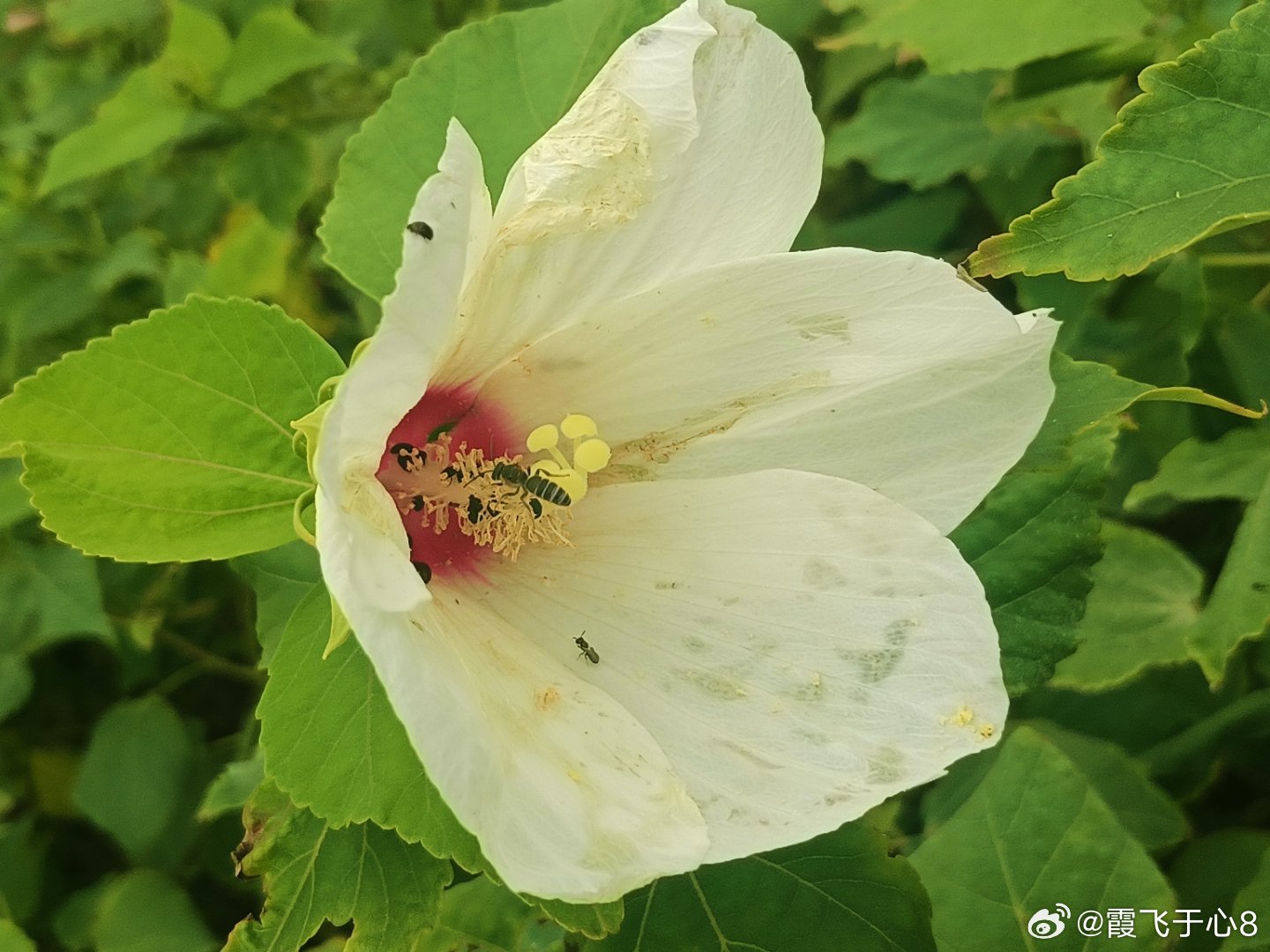 随手拍天气很是清爽能很好的慢慢欣赏风光 ​​​