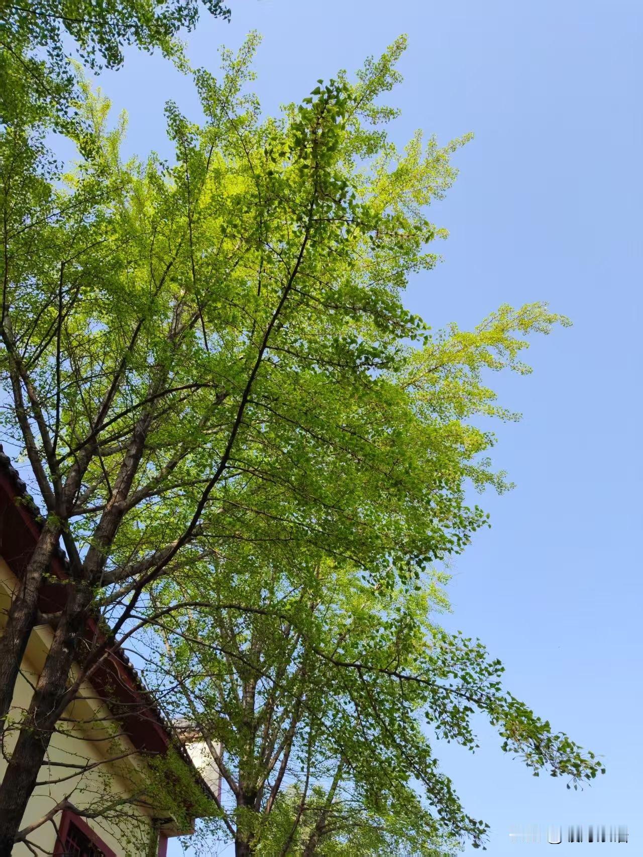 得知堂哥最后的消息，我突然就不想再拼了

前天听到那个被旁人羡慕的堂哥突然离世的