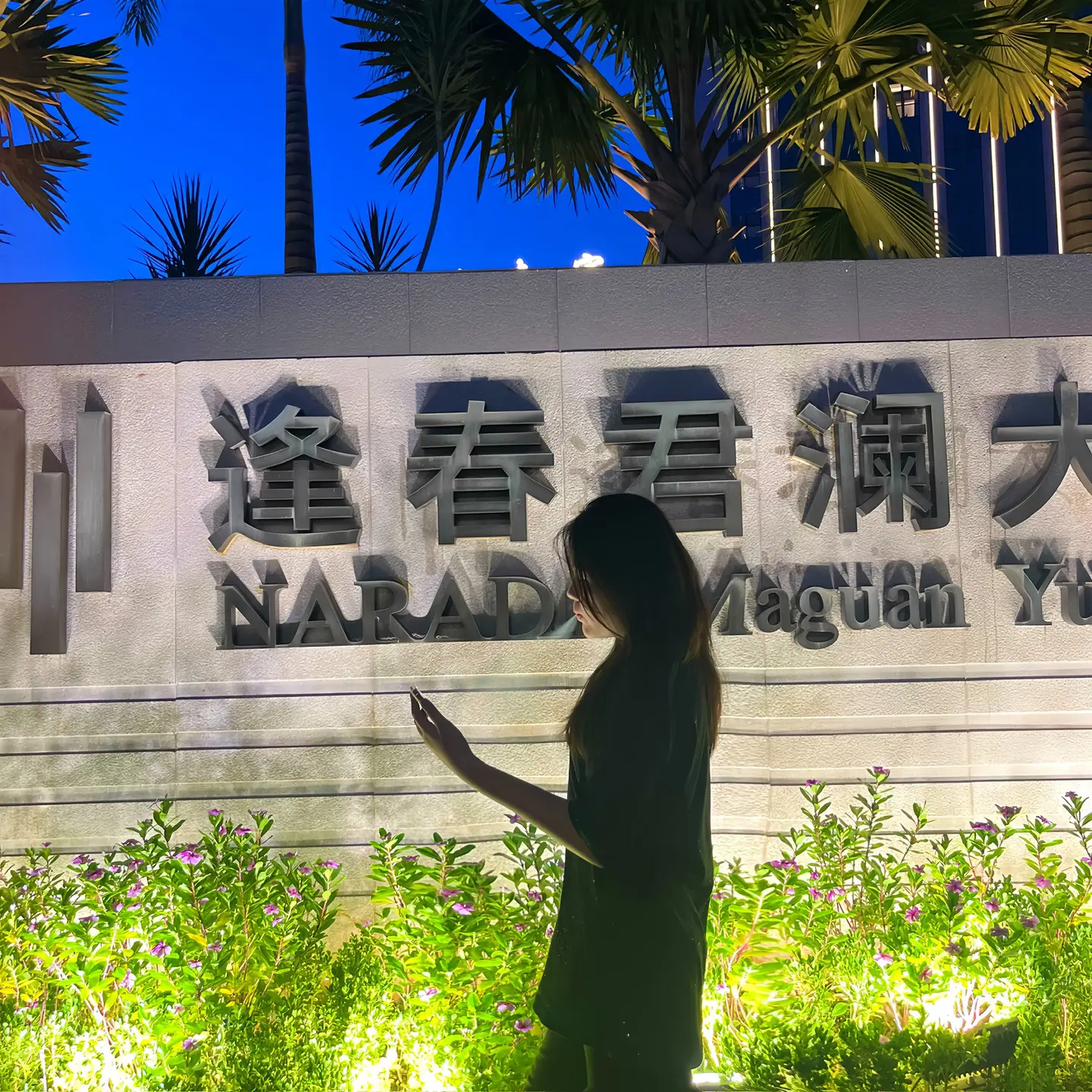 你会不会在夜里想起我对你的好