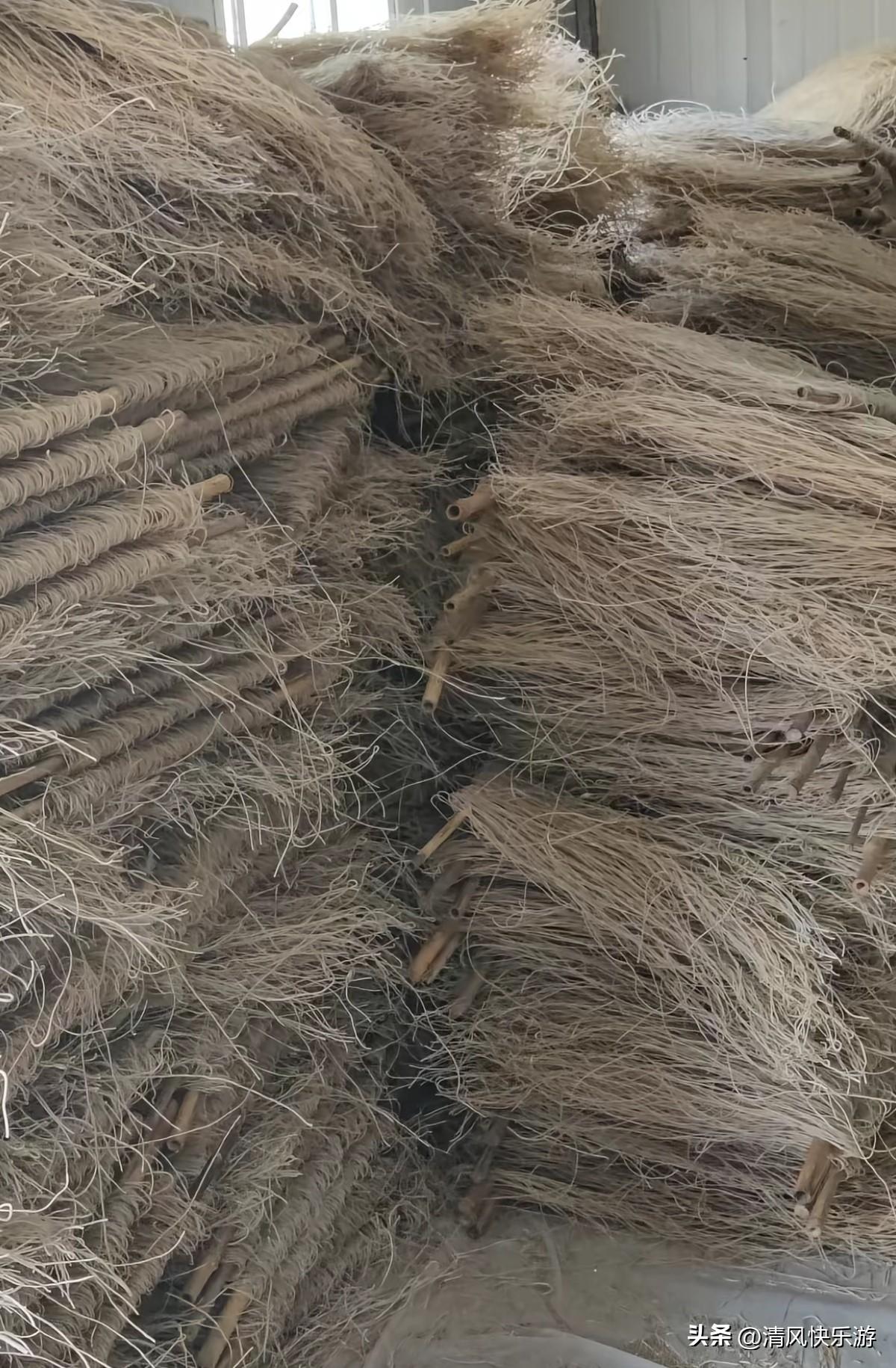 一个人在家做电商，真是苦不堪言，今天900多单粉条，上厕所都要算计着时间，大周六