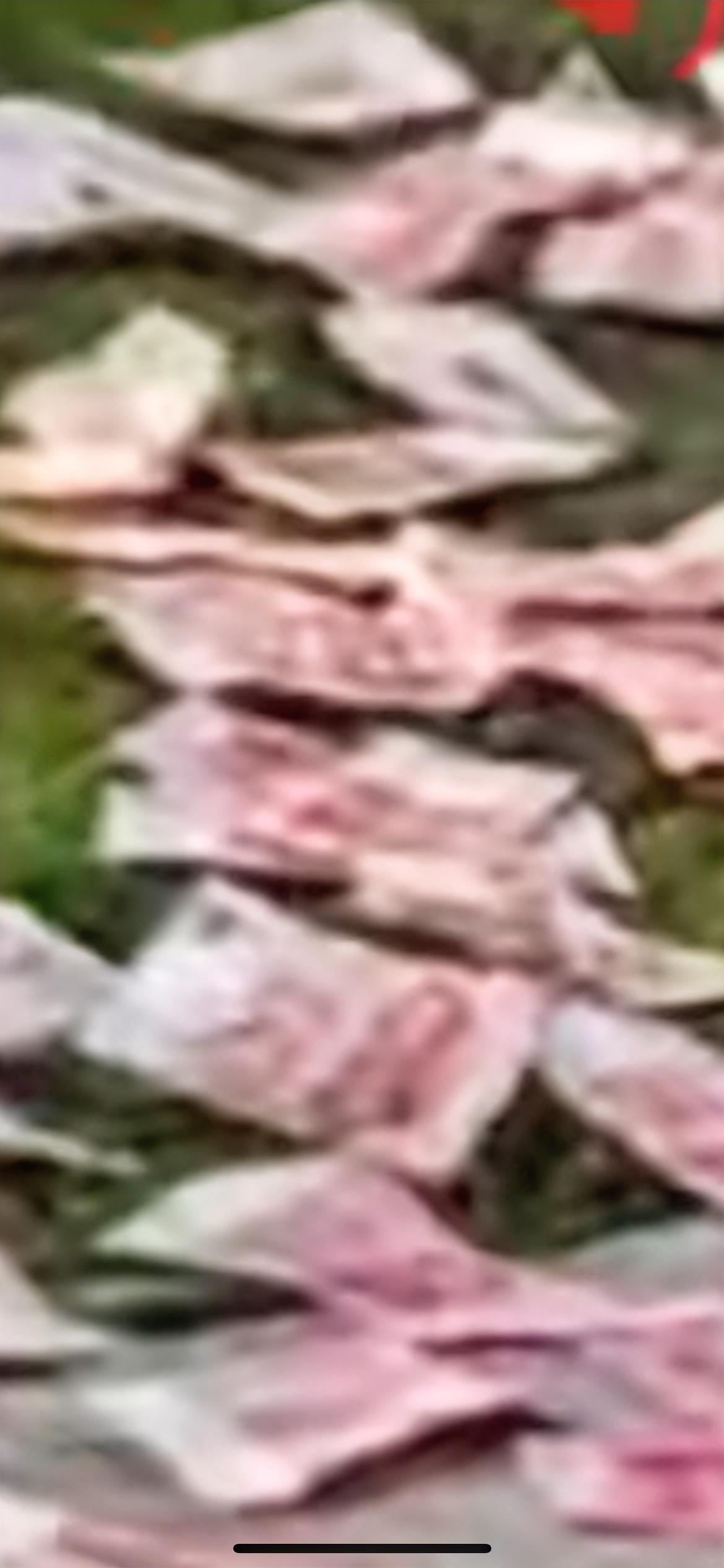 11月30日，男子将报纸包裹的现金在绿化带摊开晾晒，晾晒不久后，又用报纸包裹全部