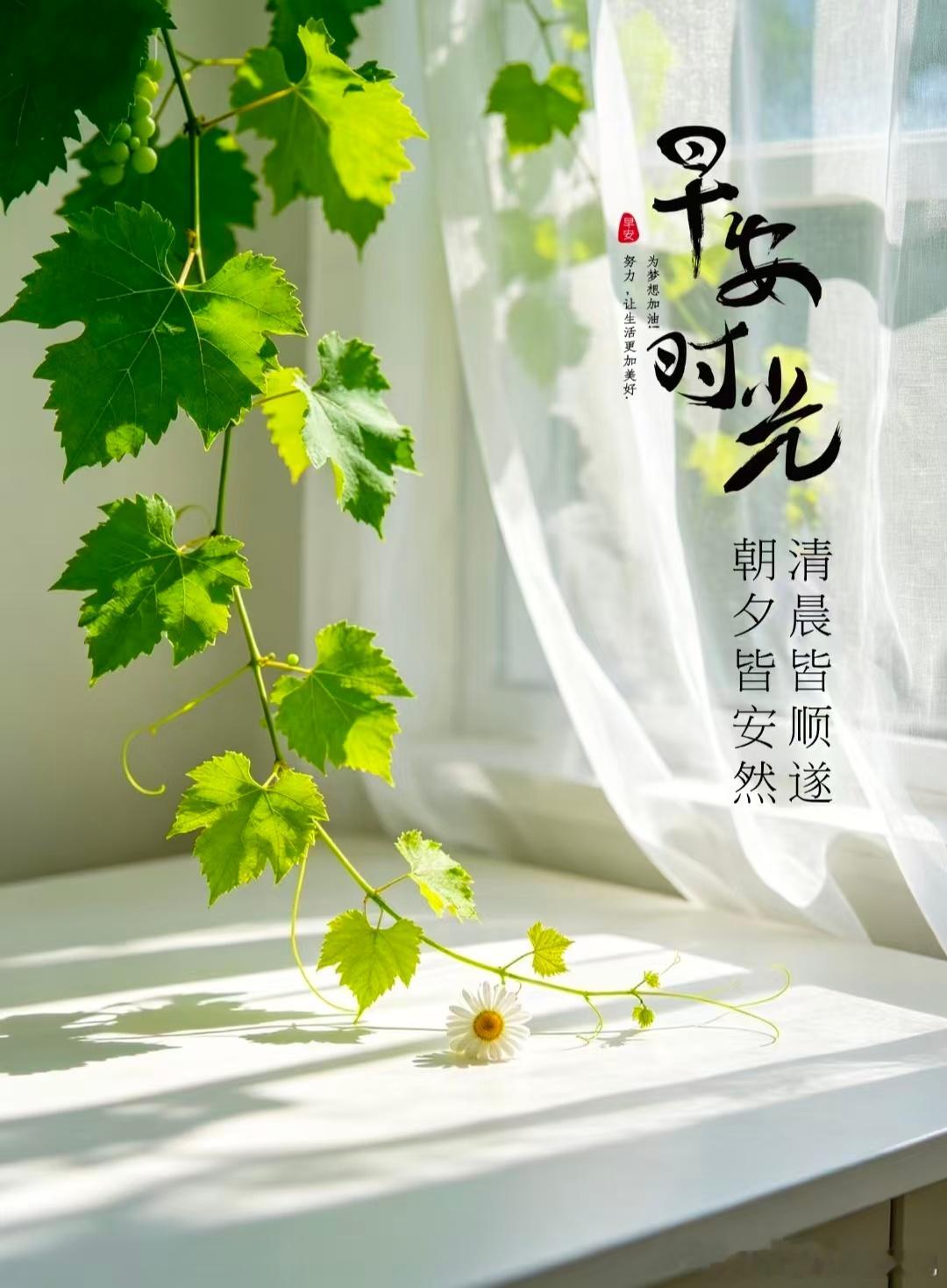 生活再平凡，每天都是限量版的一天，又是新的一天。早安！黄金外汇黄金超话