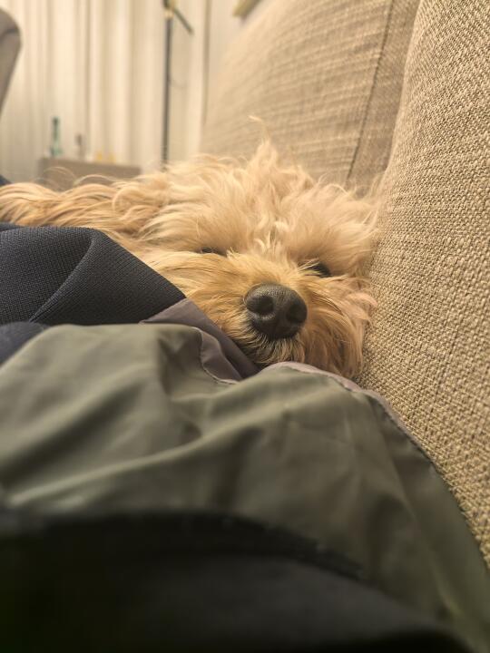 啊，你挤到我了～