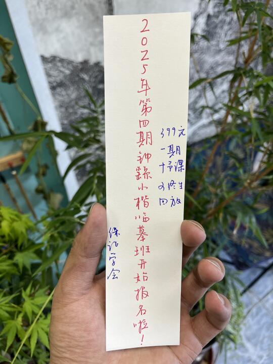 钟繇小楷临摹班开课了、喜欢的朋友可入