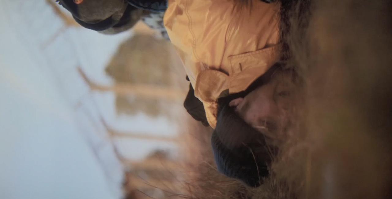 1、细雨连绵，温度却适宜，适合居家做饭，今天在家做了包子，猪肉芹菜馅的包子，不过