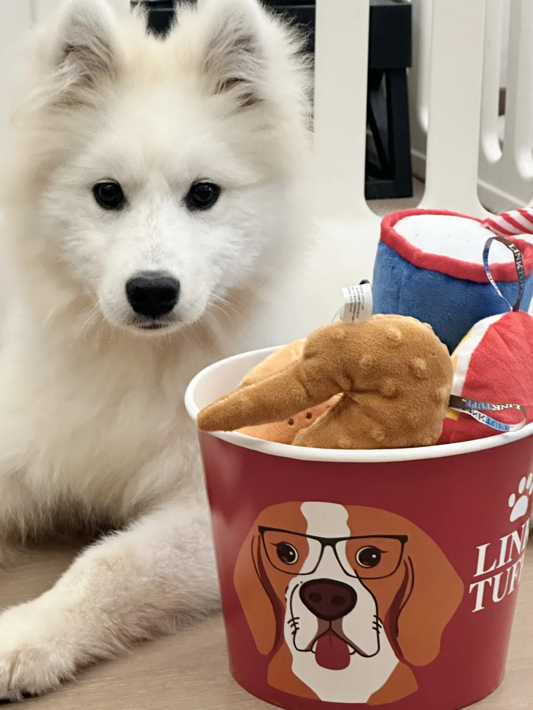 给小狗来一份全家桶～