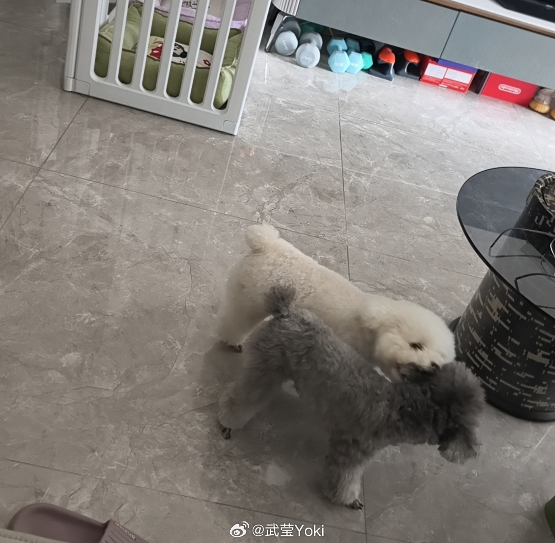 哐当一口抓个正着 ​​​