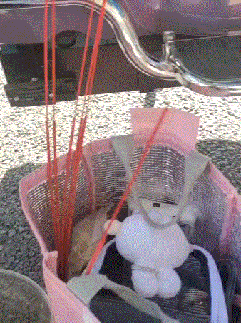 小姐姐:我真踏马服了！