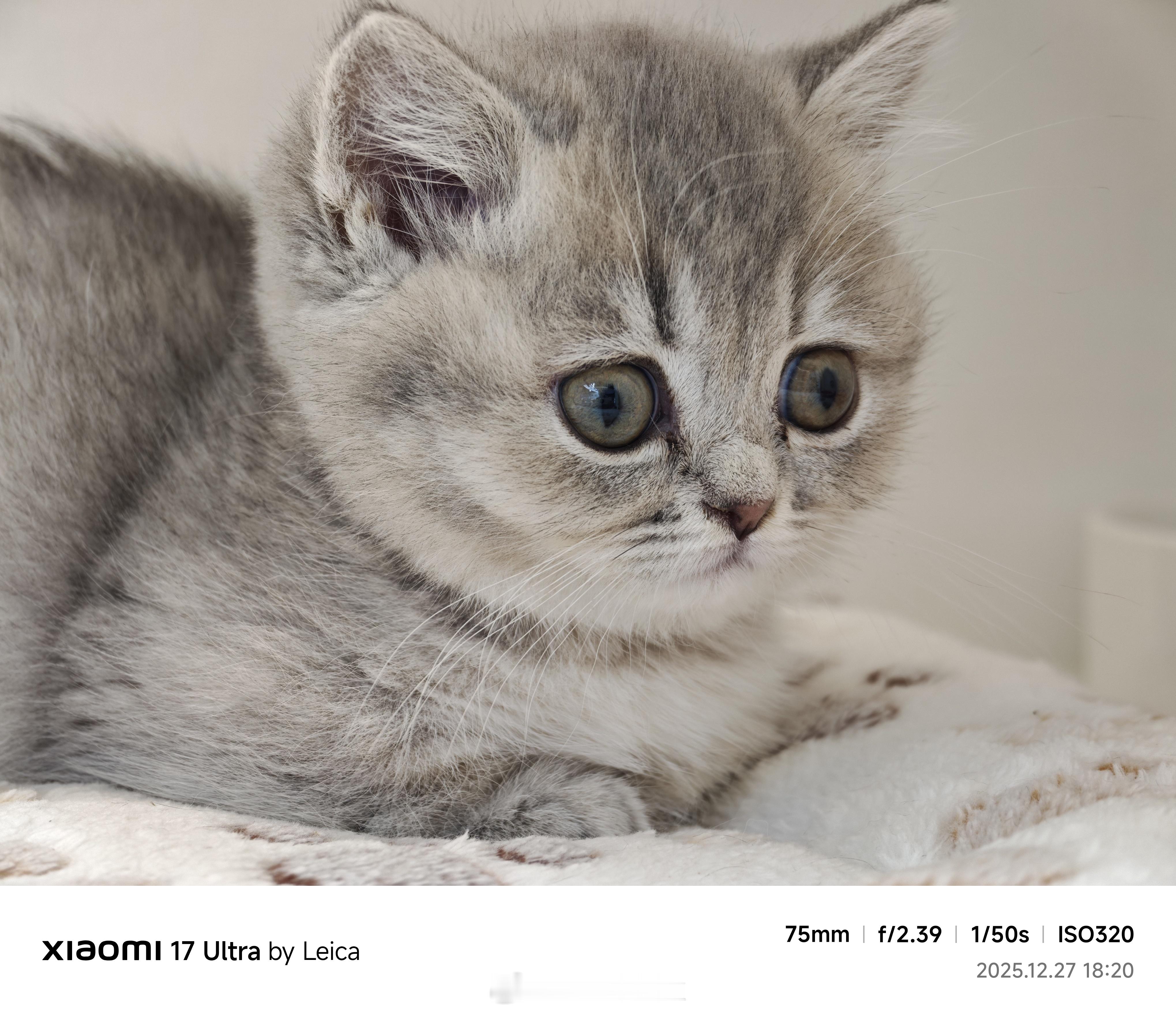 今日份随手拍，明天去哪里玩呢？