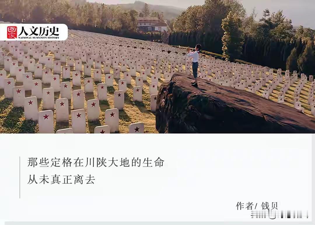 全国最大红军烈士陵园，每块墓碑仅刻一颗星，真相藏着最深的敬意
 
全国最大的红军