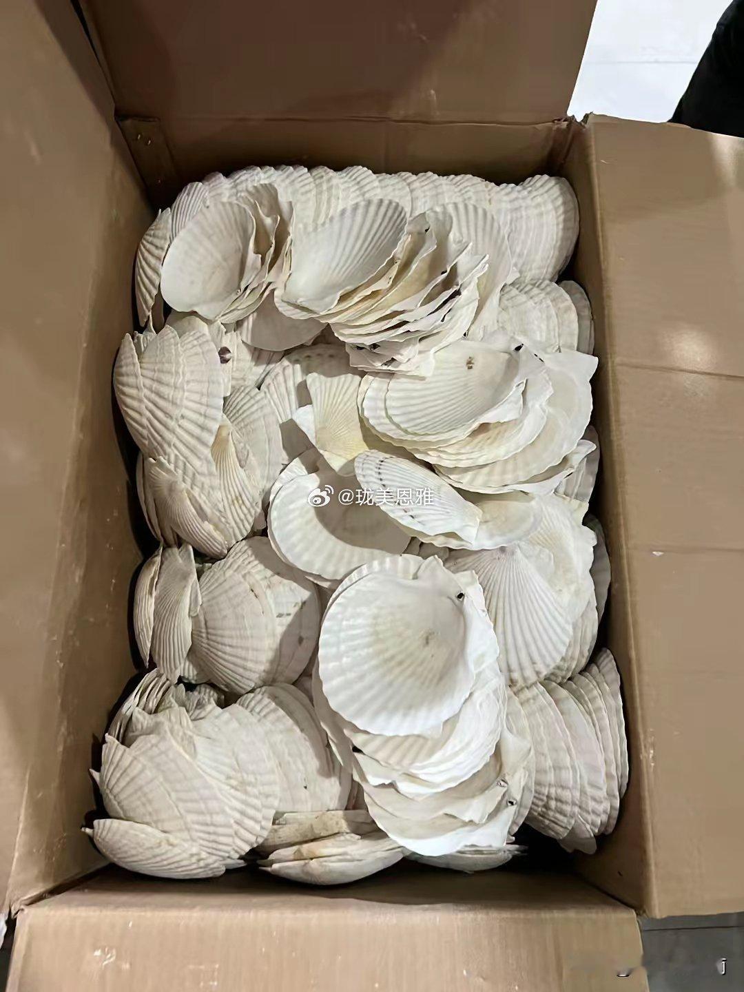 以前去烧烤店吃粉丝扇贝的时候，还以为是新鲜扇贝制作而成 