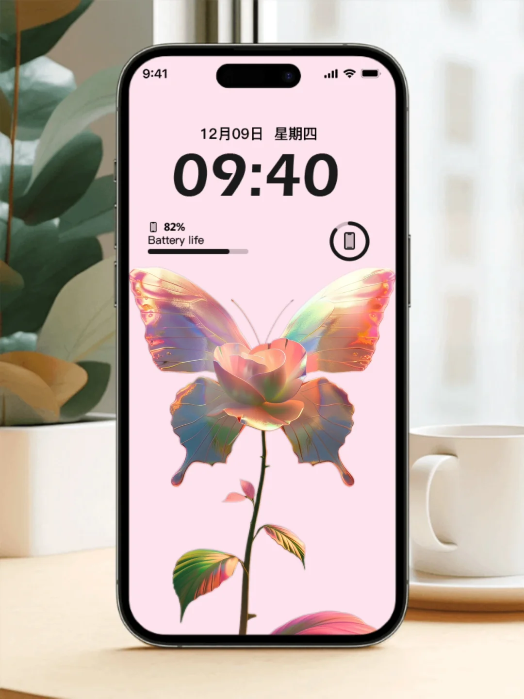 蝴蝶与玫瑰🌹