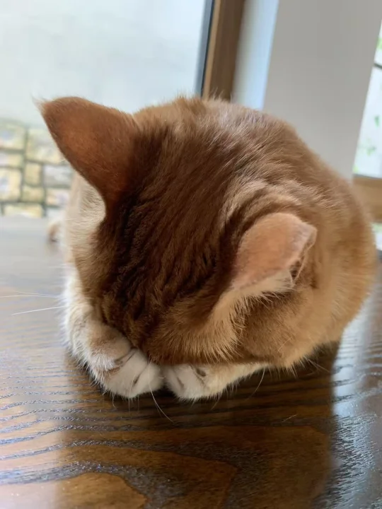 睡了 勿扰。