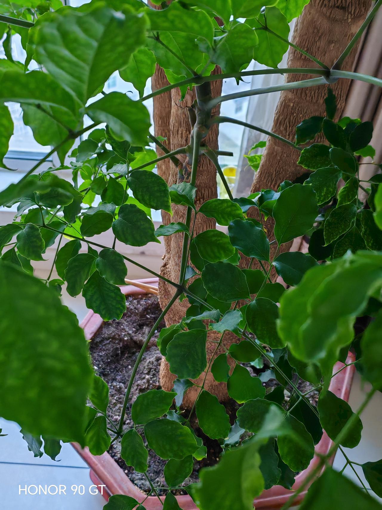 春天花会开，
快乐每一天。