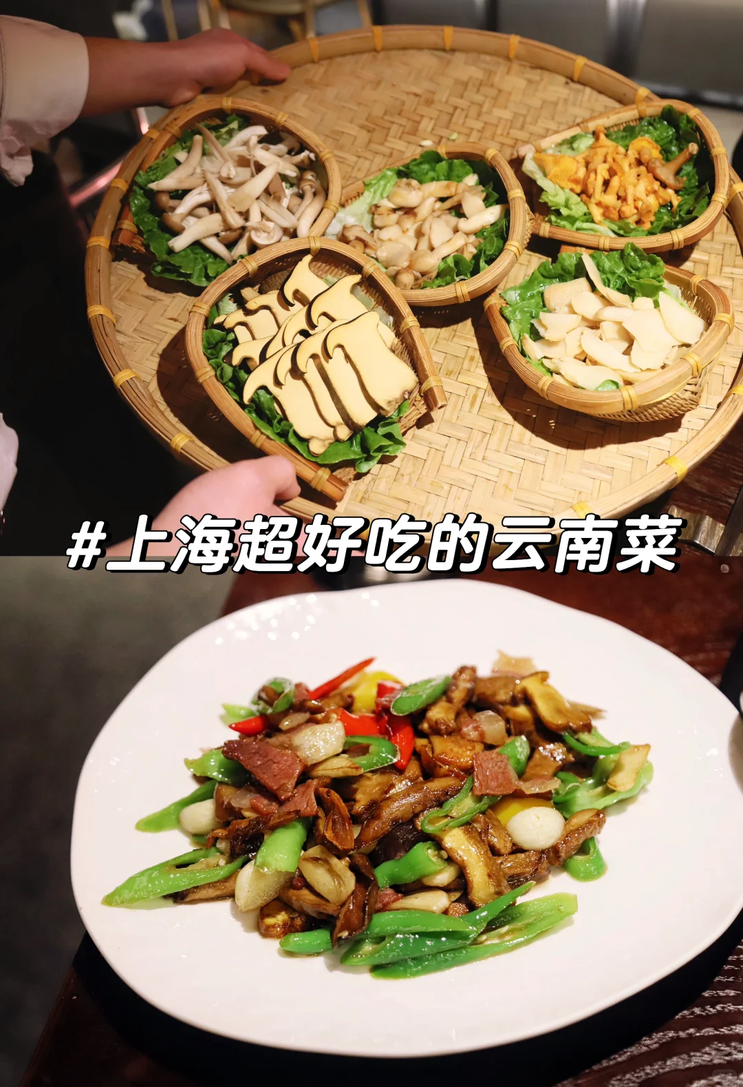 上海 | 好吃鼠了！吹爆这家云南菌菇火锅