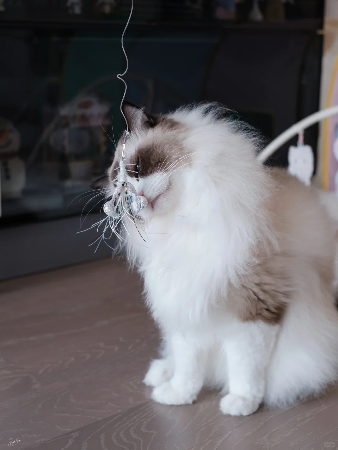 国内也有超精致的逗猫棒手作替换头