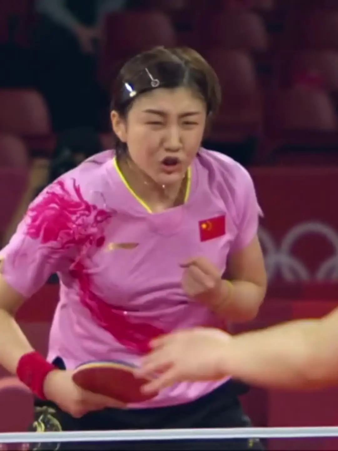 在风雨中夹缝生存的中生代独苗开的最盛