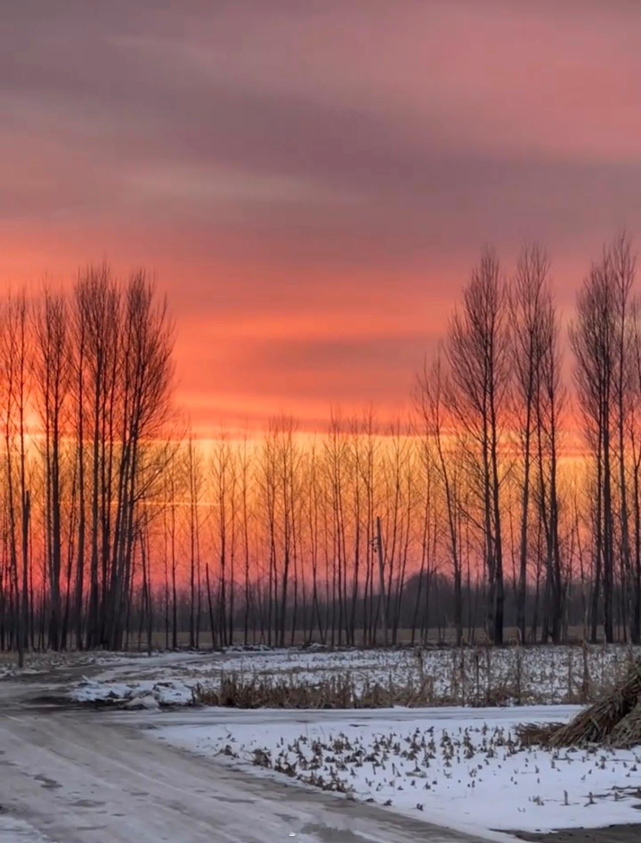 小菌 塞北残阳如血，洒在东北老家银白的雪野上，炊烟袅袅，冬日日常，静谧而壮美，勾