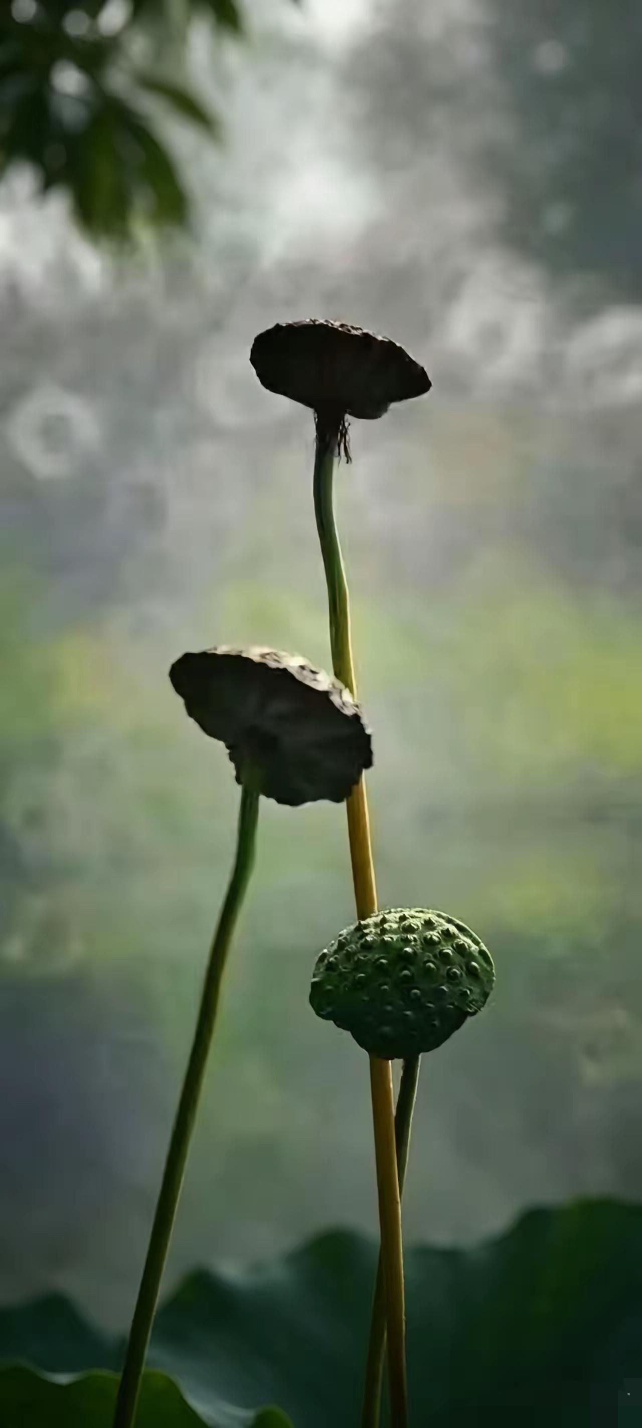 人这一辈子，
​什么都是假的，
​只有钱才是真的。
​如果没有钱，
​路也很难走