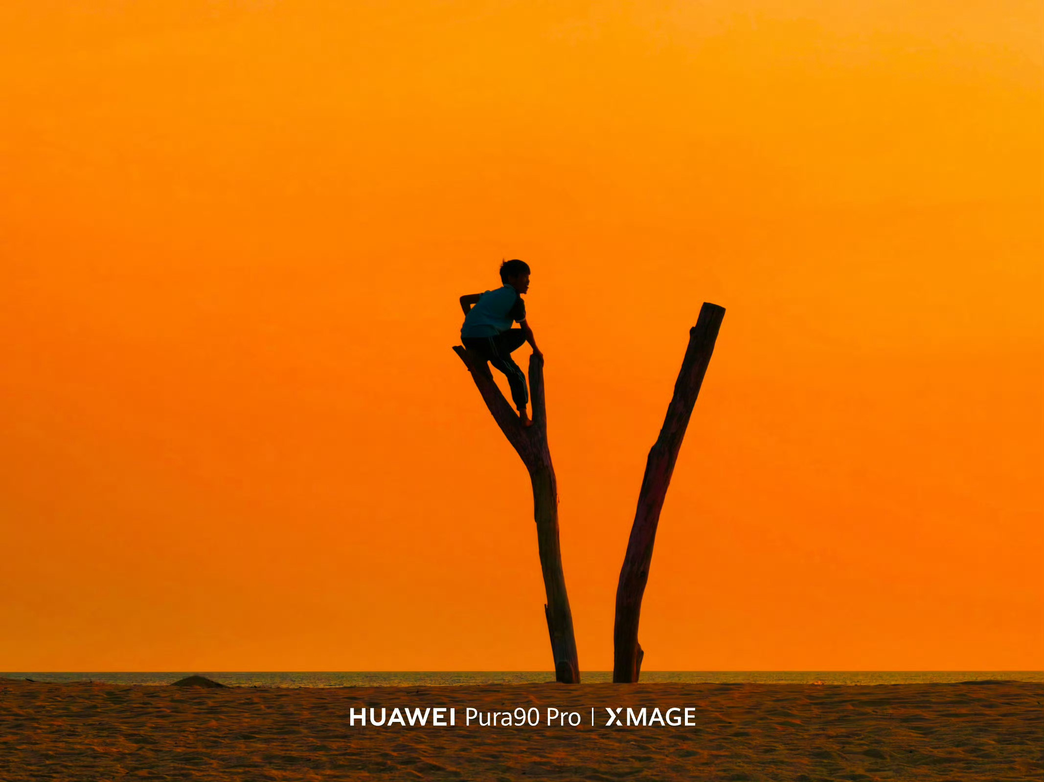 卧槽！华为Pura 90系列拍照这么强吗？看来逆光和长焦表现，还是相当稳的