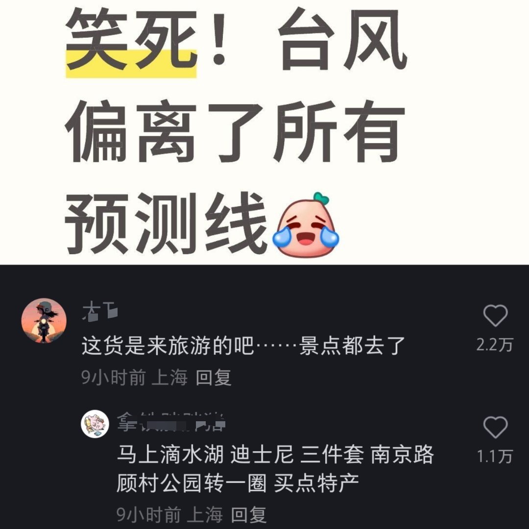上海中心1000吨阻尼器开始摆动在家办公，在📕看台风路线，这个竹节草确认是来旅