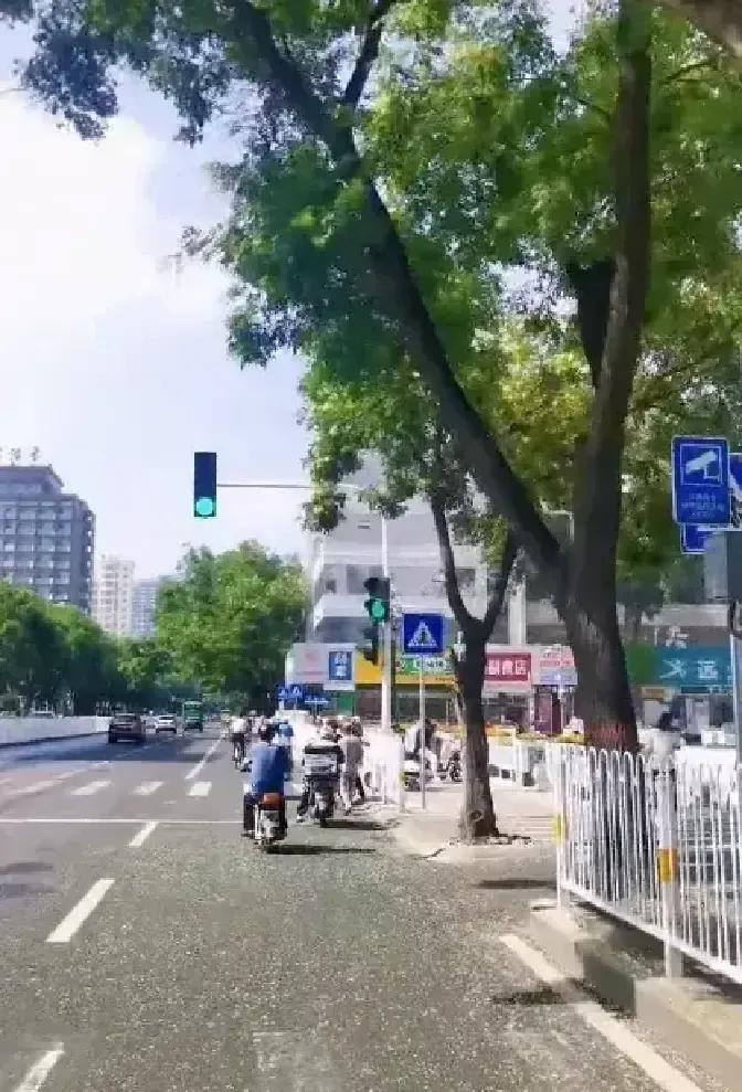 王老师十年前靠一篇合写论文评上高级，把教学更硬的李老师挤掉，如今单位倒查，论文贡