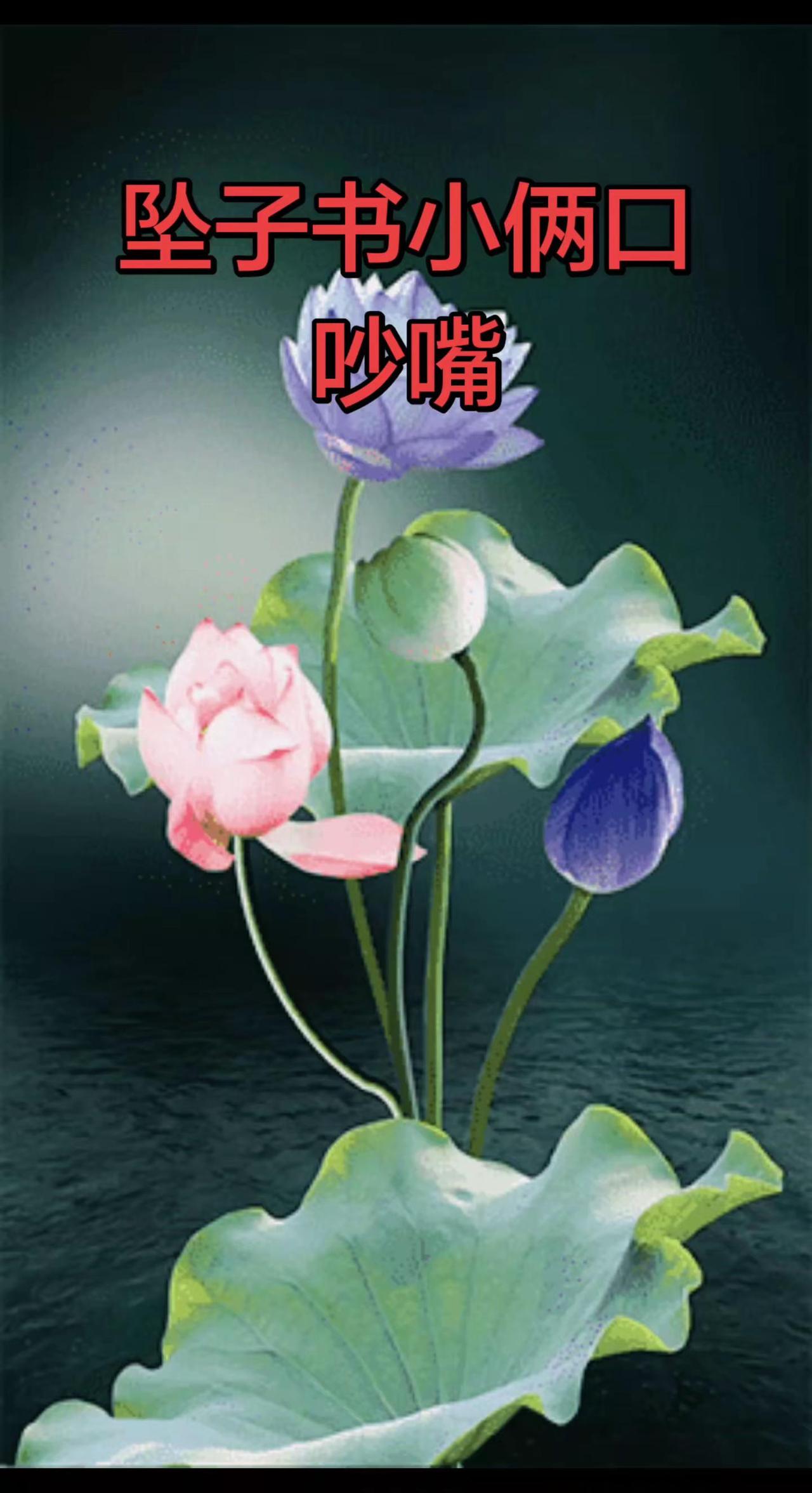 这位老师唱的好听百听不厌。