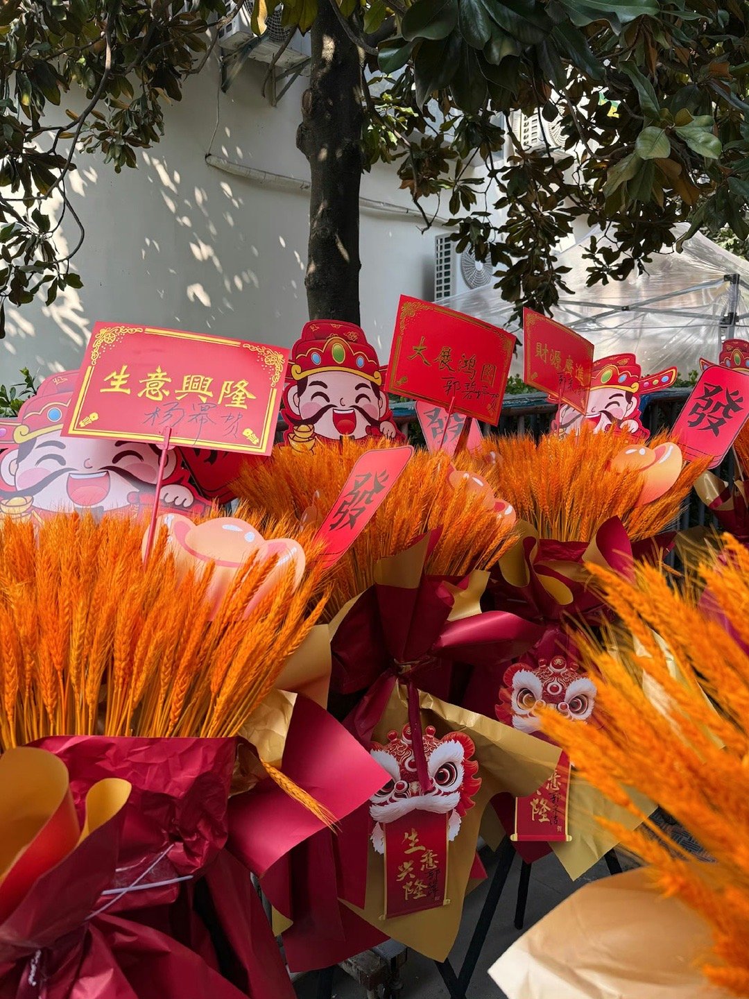 杨幂郭碧婷郭采洁给谢依霖的排面 杨幂有新剧谢依霖会在节目里cue，谢依霖开店姐妹