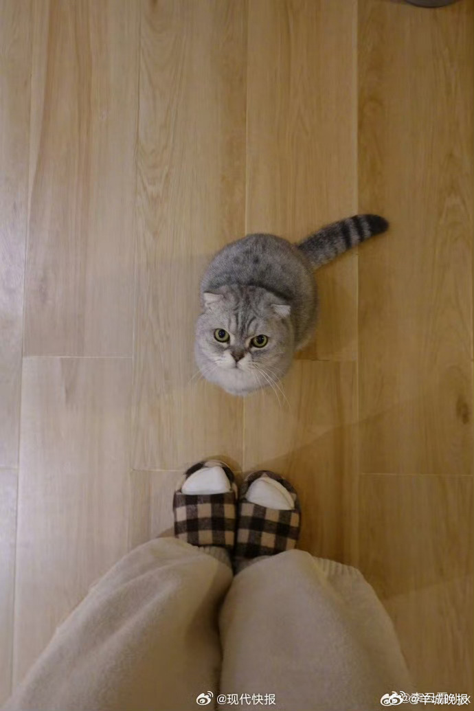 #李云霄文艺片女主照进现实#近日，李云霄-lyx 更新自己的春日日常，仿若文艺片