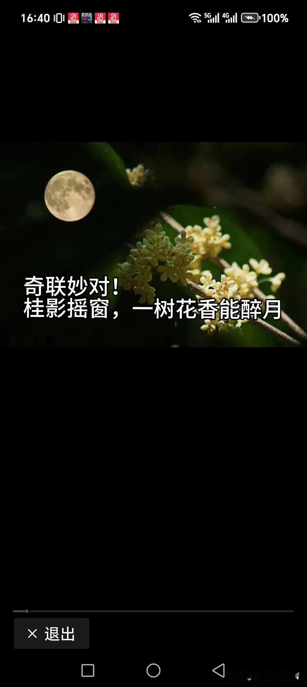 桂影摇窗，一树花香能醉月
梅倩拽门，满枝飘雪适润星