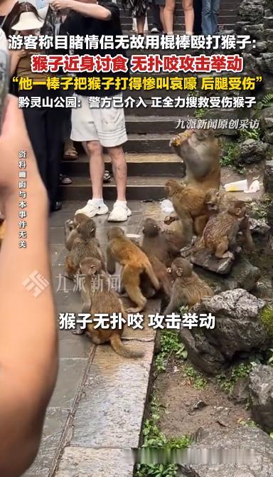 人与自然相处，最能体现一个人的素养。

据6月3日报道，贵阳黔灵山公园，一只年幼