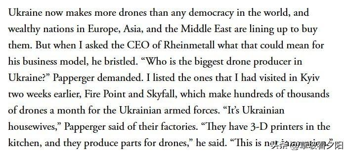 德国军工企业莱茵金属（Rheinmetall）首席执行官阿明·帕珀格（Armin