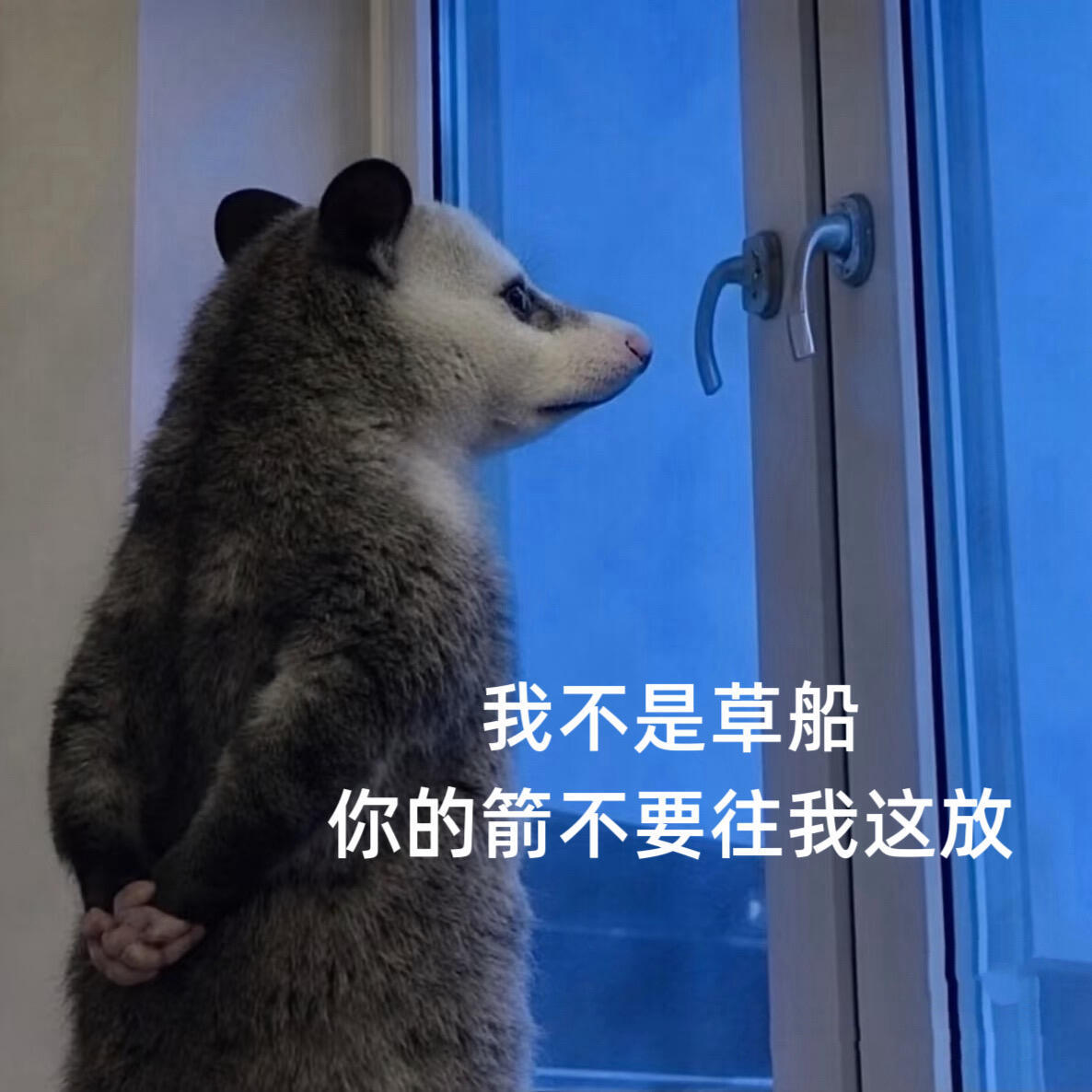 捞虾不爽，ie就爽，静静的听捞虾哭泣的声音
