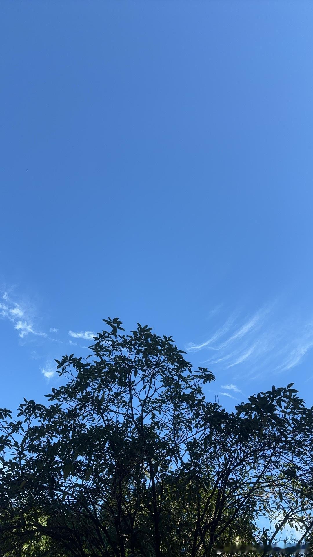 今天中午和大学同学聚会，说起当年在洛阳实习的种种，不禁莞尔。饭后被舒爽的秋风掠过
