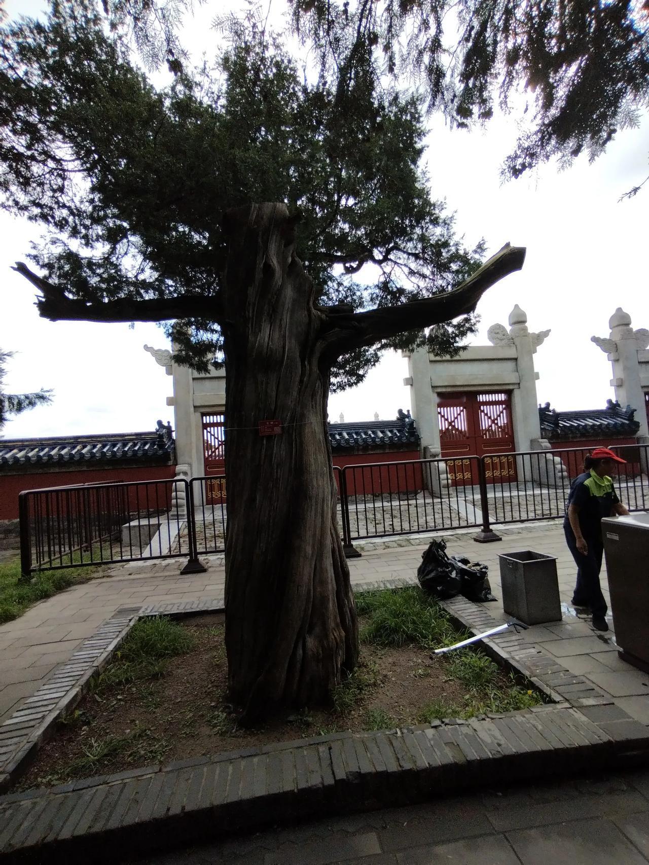 鹧鸪天   秋夜
秋雨秋风秋夜凉，
凭栏独自对穹苍。
乡愁又着丝丝雨，
恋土平添