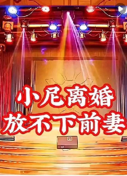 小尼离婚，放不下前妻——“想结束却割舍不下”的纠结与痛苦

离婚后放不下前妻，其
