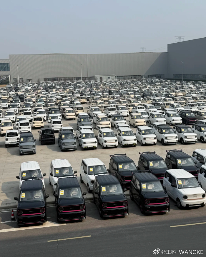 勇闯熊猫基地！ 