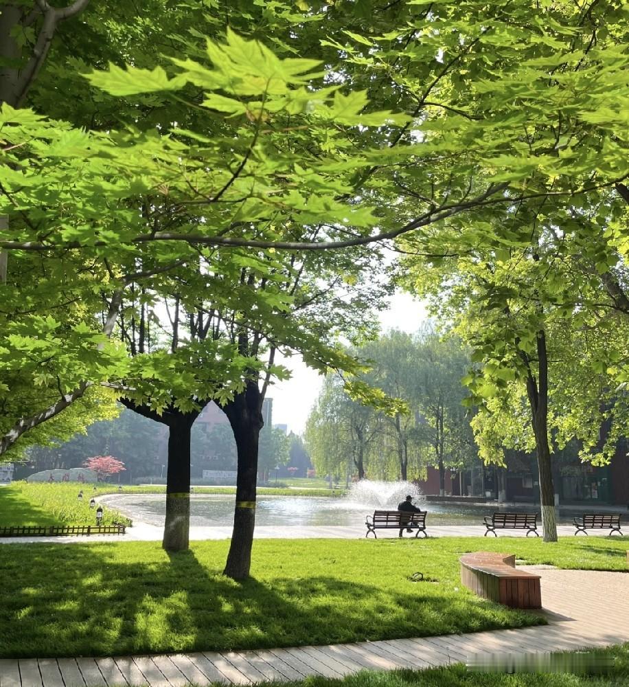 到了高中，
你会发现：
​高一成绩在500分左右的孩子，别急着在数理化上死磕。不