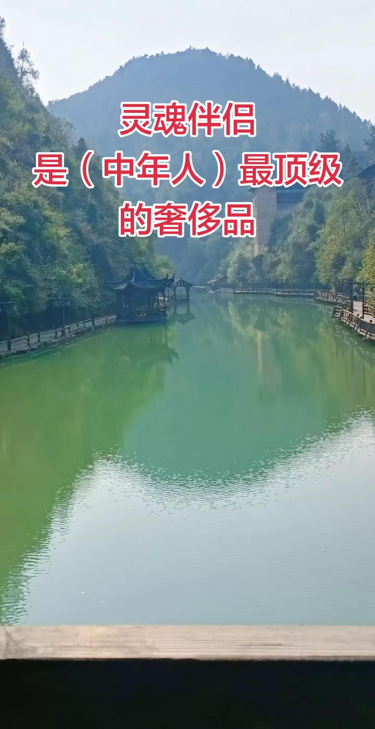 灵魂伴侣可遇不可求