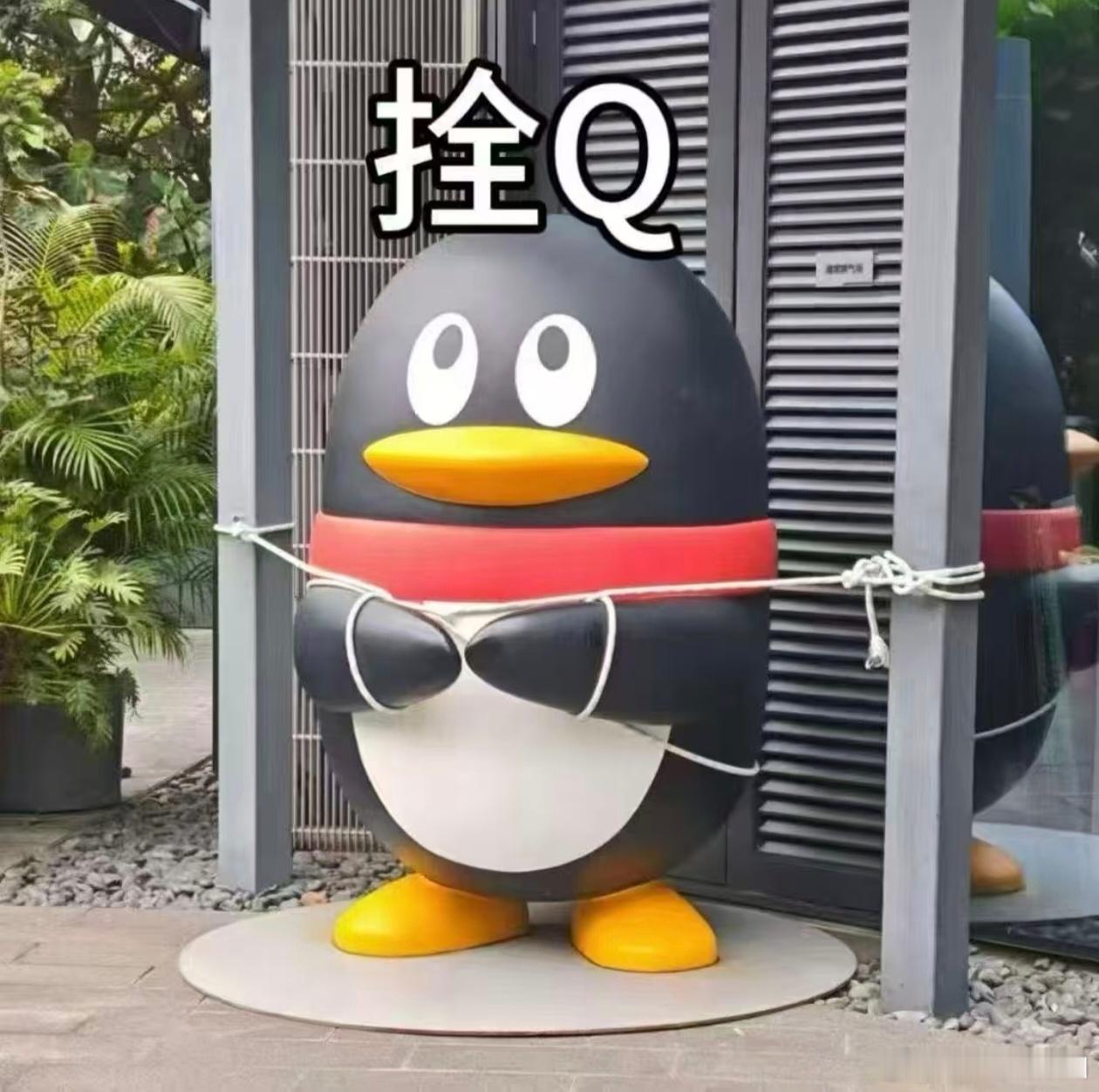 桦加沙今日最佳图/表情包 ​​​