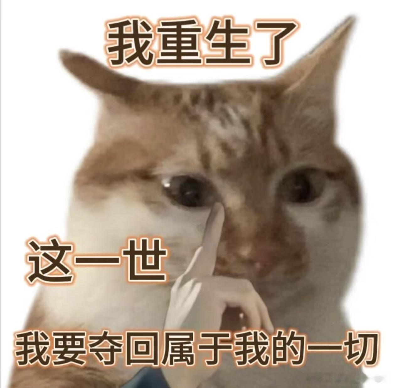 阳哥神一样的布局直接拿下整整90点空间走势完完全全踩在预判上，再一次实打实证明什