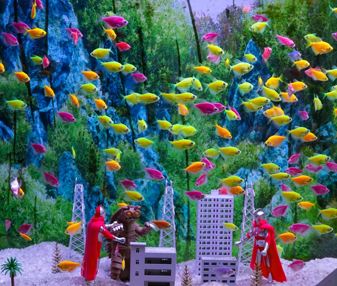 广州城中心，夏天避暑好去处