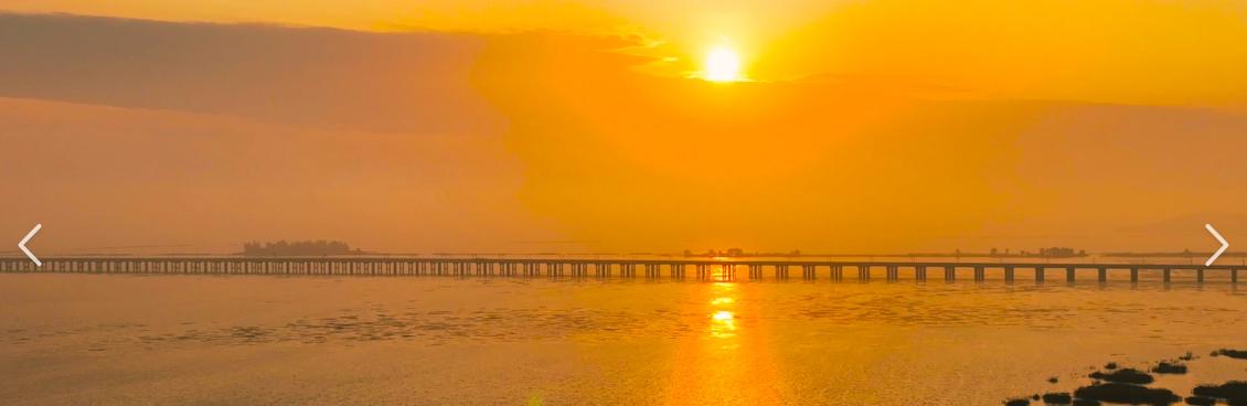 天鹅于飞，临于石臼。
湖光滟滟，长颈曲曲。
湖光粼粼，白羽絮絮。
远而闻声，苟苟